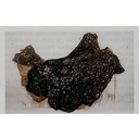 Show Stomach lining in acute acid toxicity with eroded and blackned mucosa by altered blood. Image